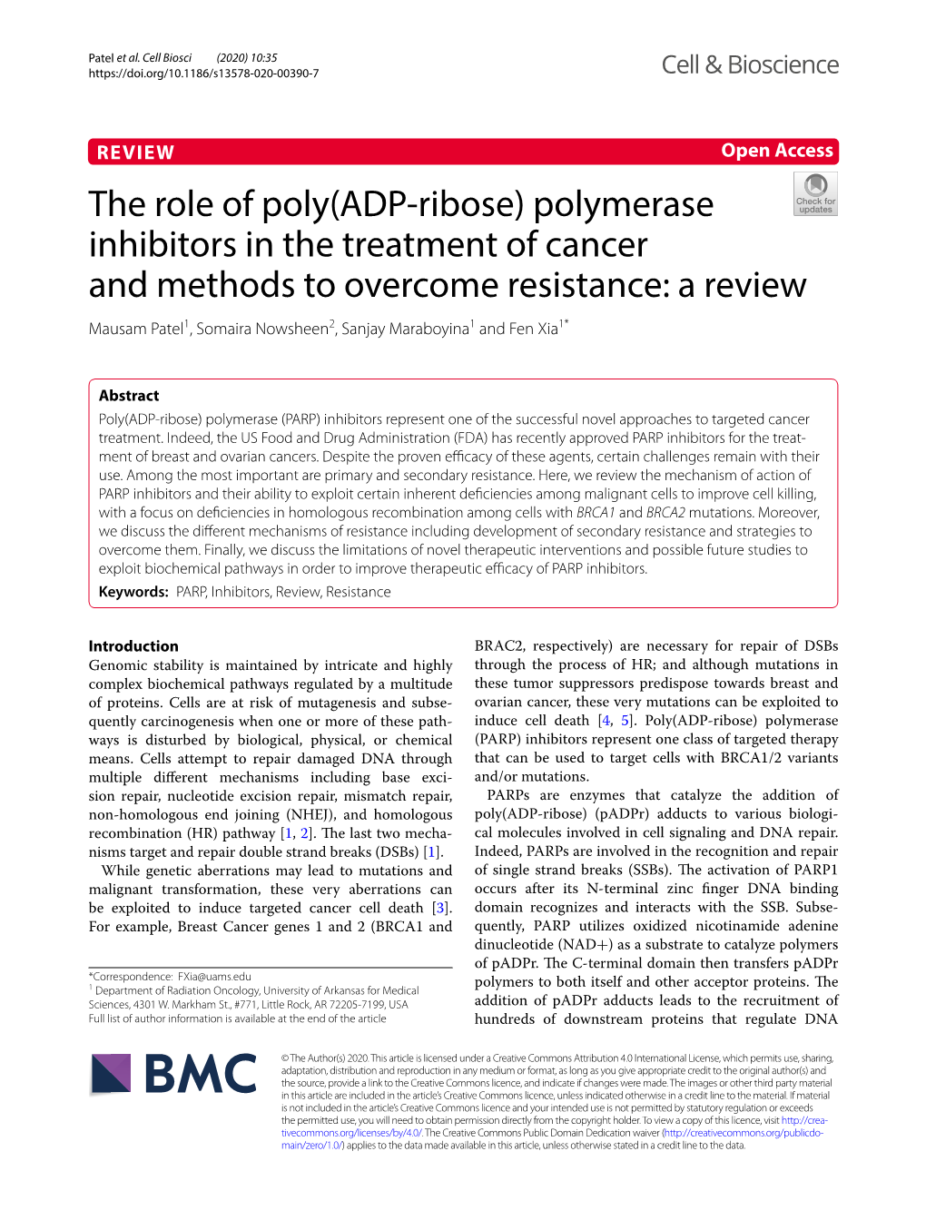 The Role of Poly(ADP-Ribose) Polymerase Inhibitors in The