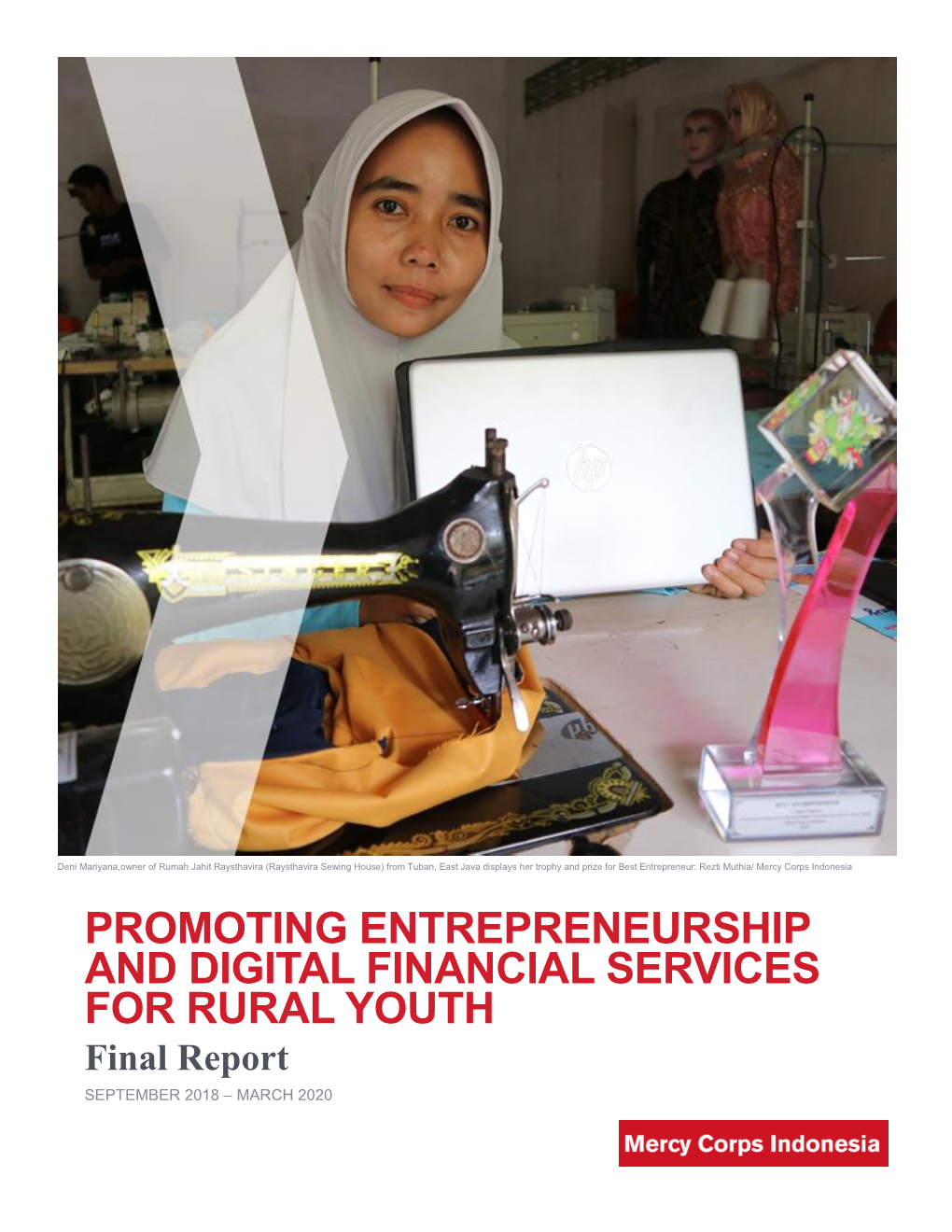 Promoting Entrepreneurship and Digital Financial Services for Rural Youth: Final Report