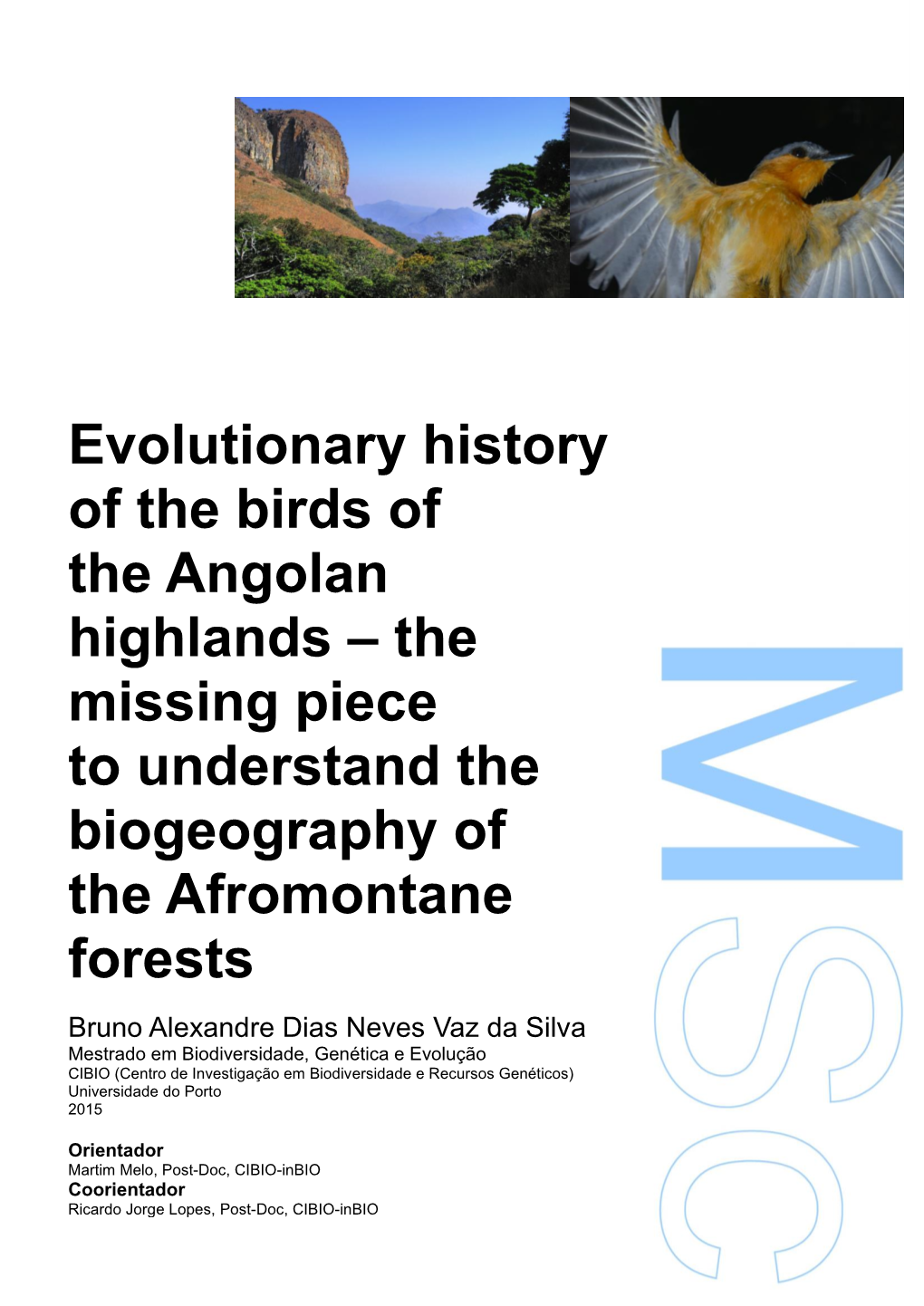 Evolutionary History of the Birds of the Angolan Highlands