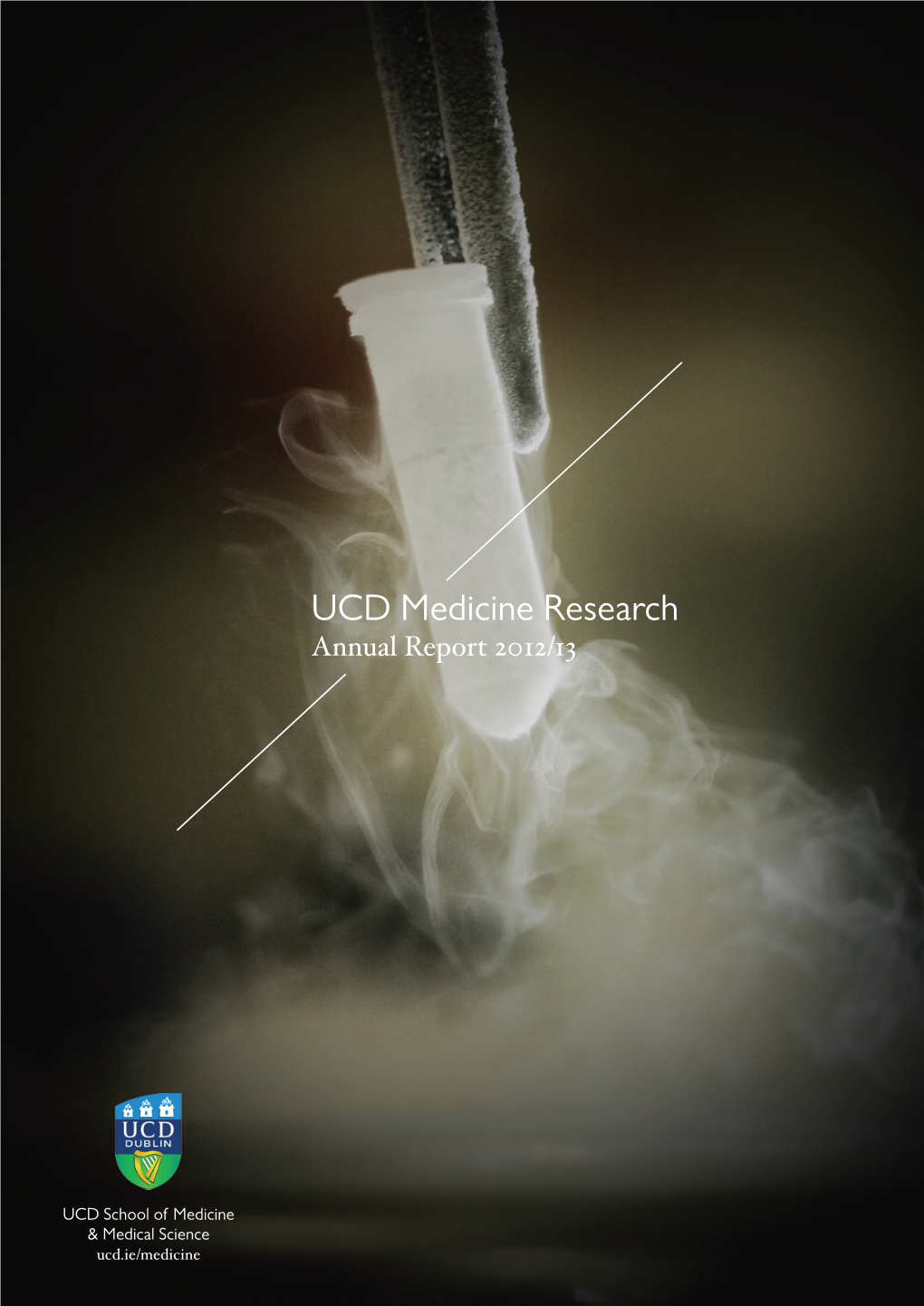 UCD Medicine Research Annual Report 2012/13