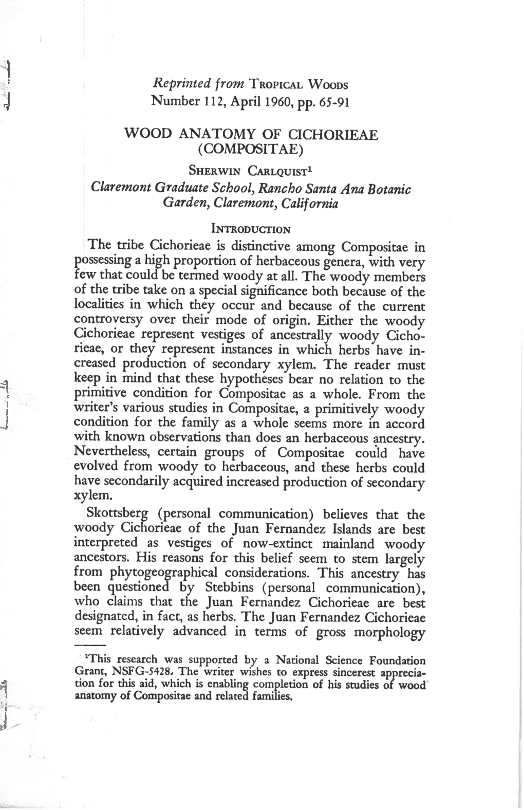 Number 112, April 1960,PP. 65-91 WOOD ANATOMY of CICHORIEAE