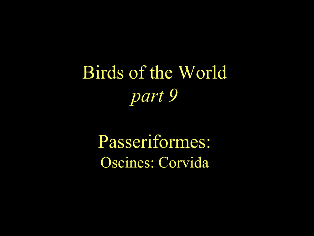 Passeriformes: Corvidae)