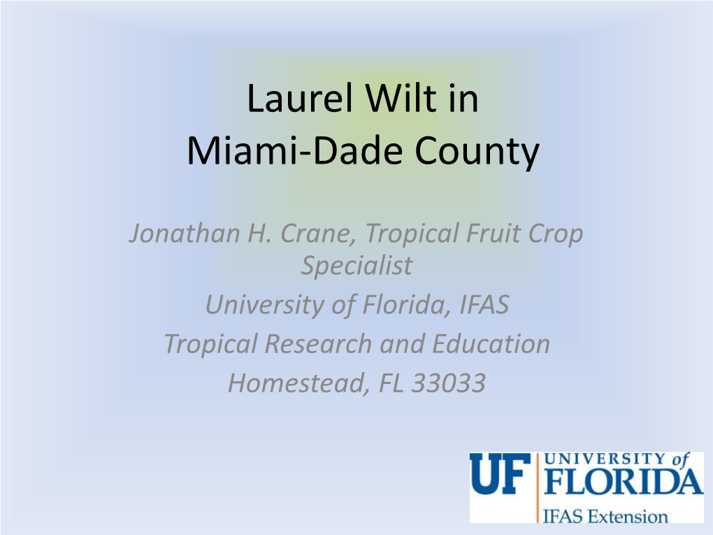 Laurel Wilt in Miami-Dade County