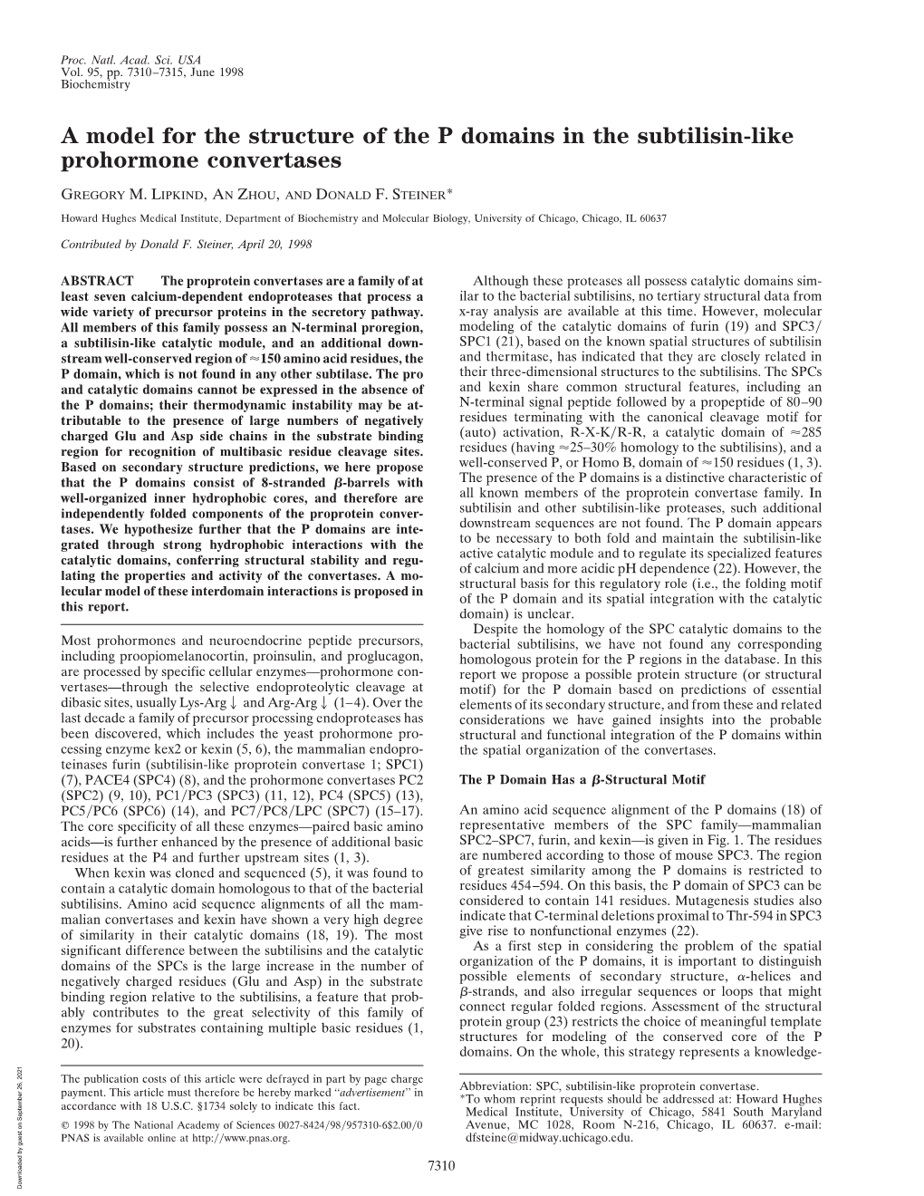 A Model for the Structure of the P Domains in the Subtilisin-Like Prohormone Convertases