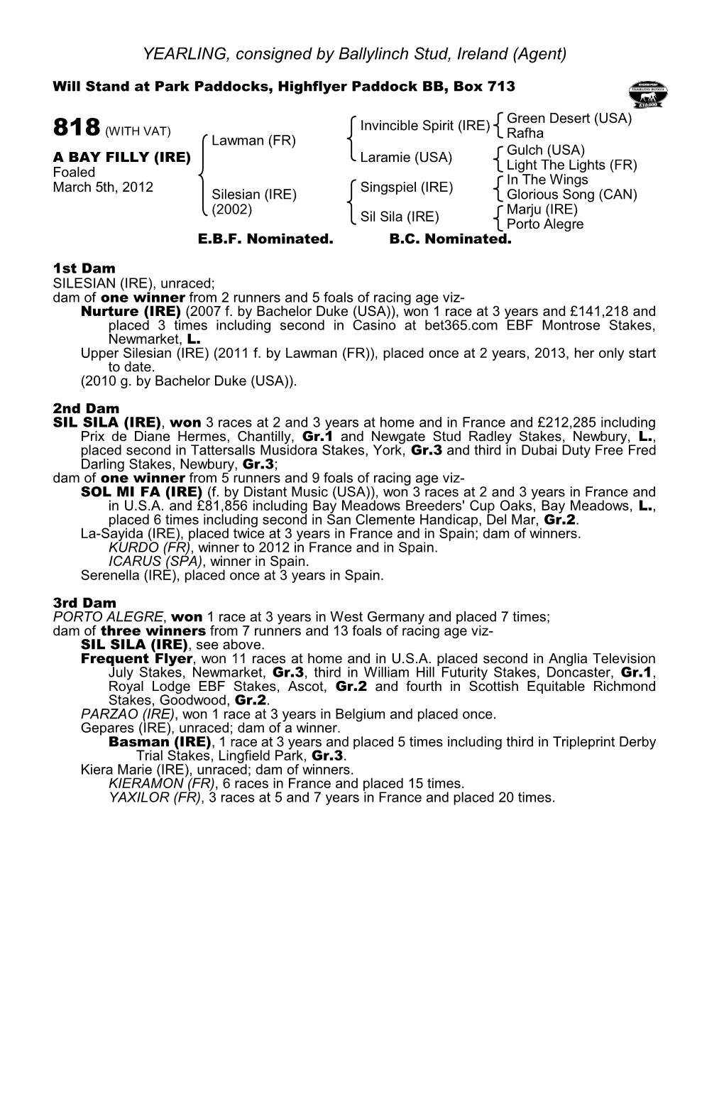 YEARLING, Consigned by Ballylinch Stud, Ireland (Agent)
