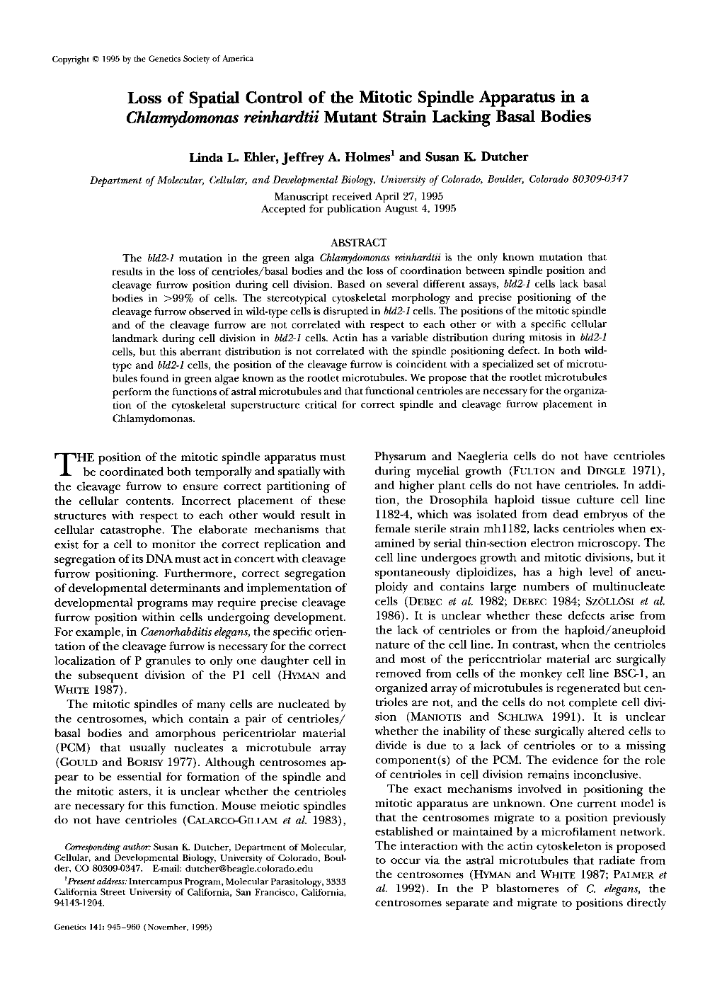 Loss of Spatial Control of the Mitotic Spindle Apparatus in a Chlamydomonas Reinhardtii Mutant Strain Lacking Basal Bodies