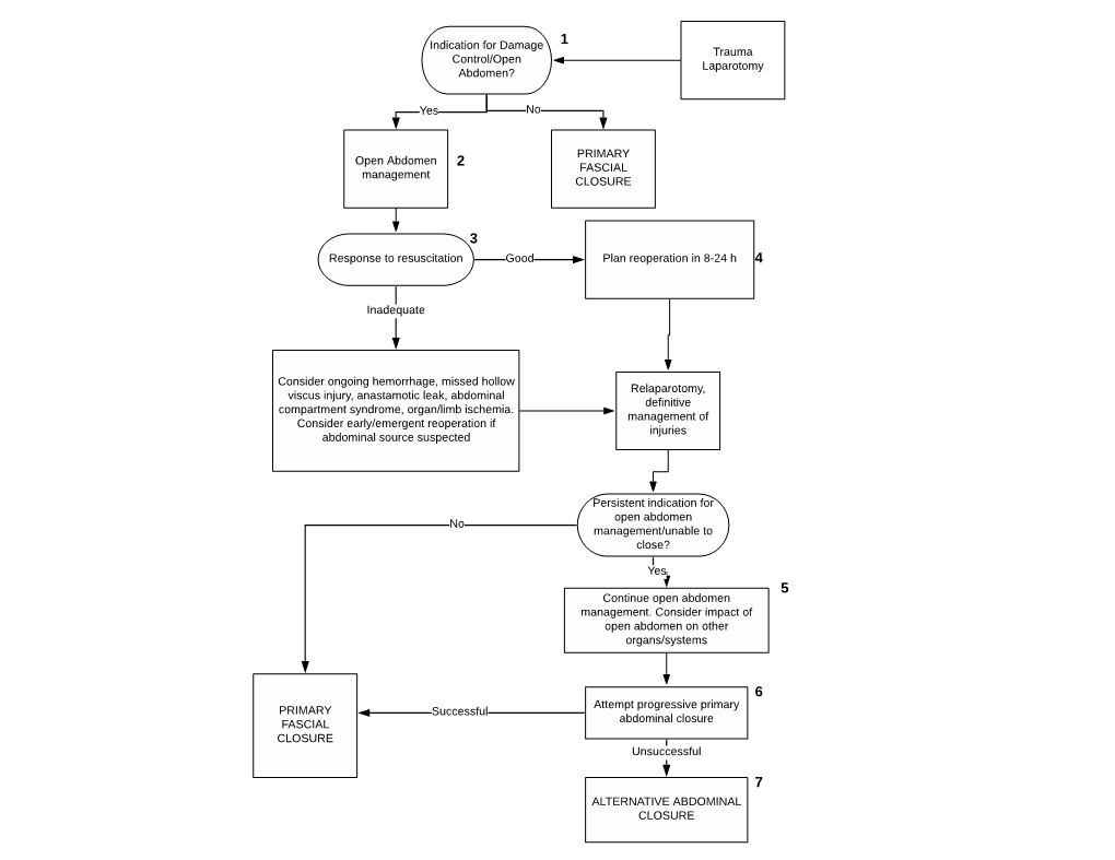 Trauma Laparotomy Indication for Damage Control/Open Abdomen?