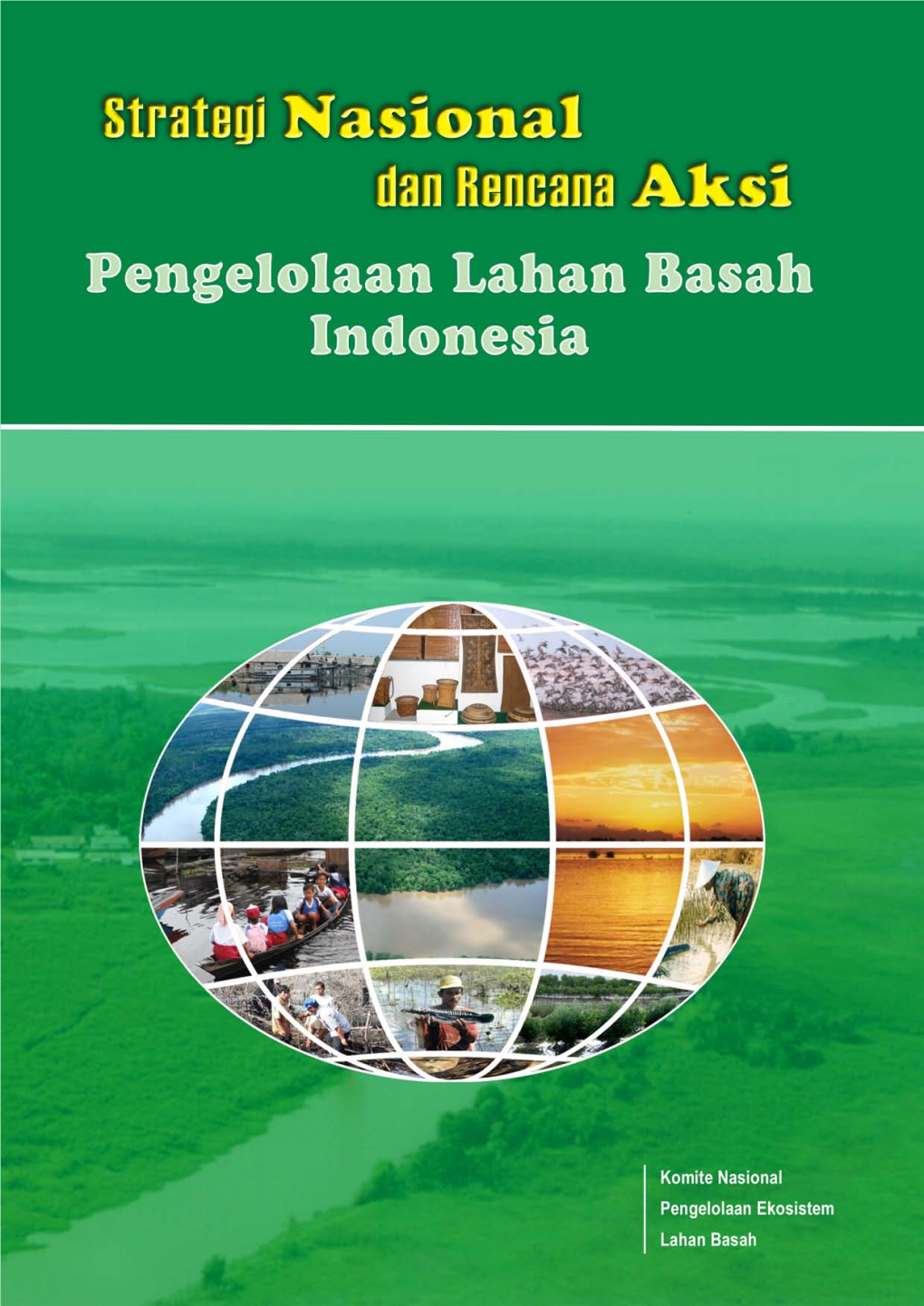 Strategi Nasional Dan Rencana Aksi Pengelolaan Lahan Basah Indonesia