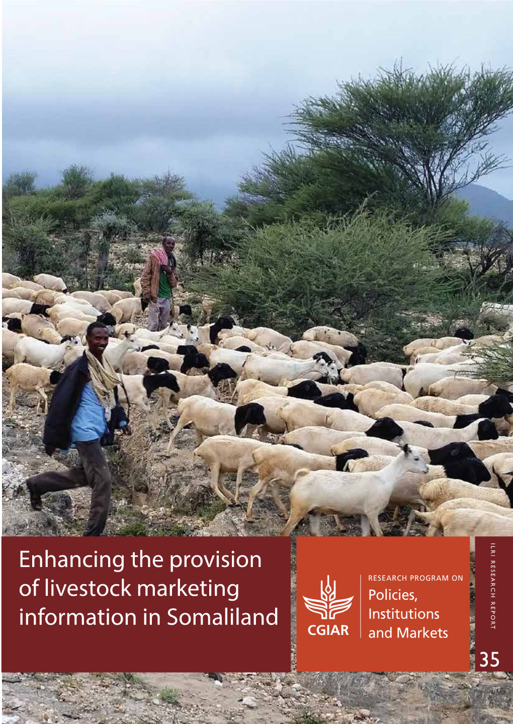 Enhancing the Provision of Livestock Marketing Information in Somaliland