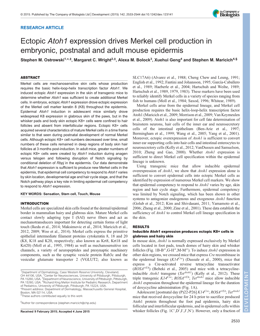 Ectopic Atoh1 Expression Drives Merkel Cell Production in Embryonic, Postnatal and Adult Mouse Epidermis Stephen M