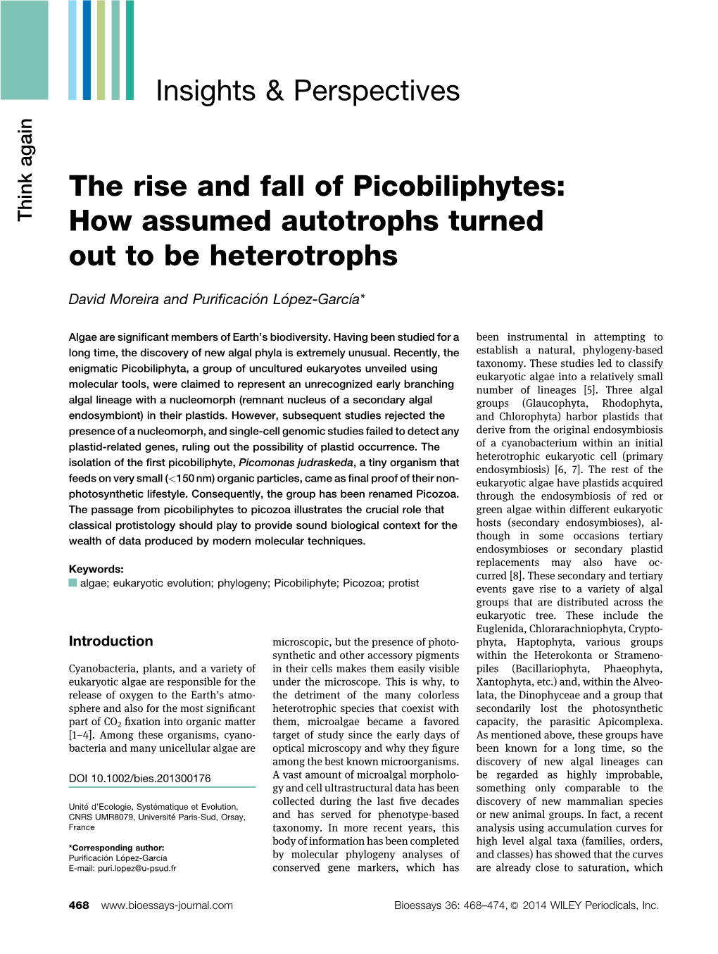 The Rise and Fall of Picobiliphytes