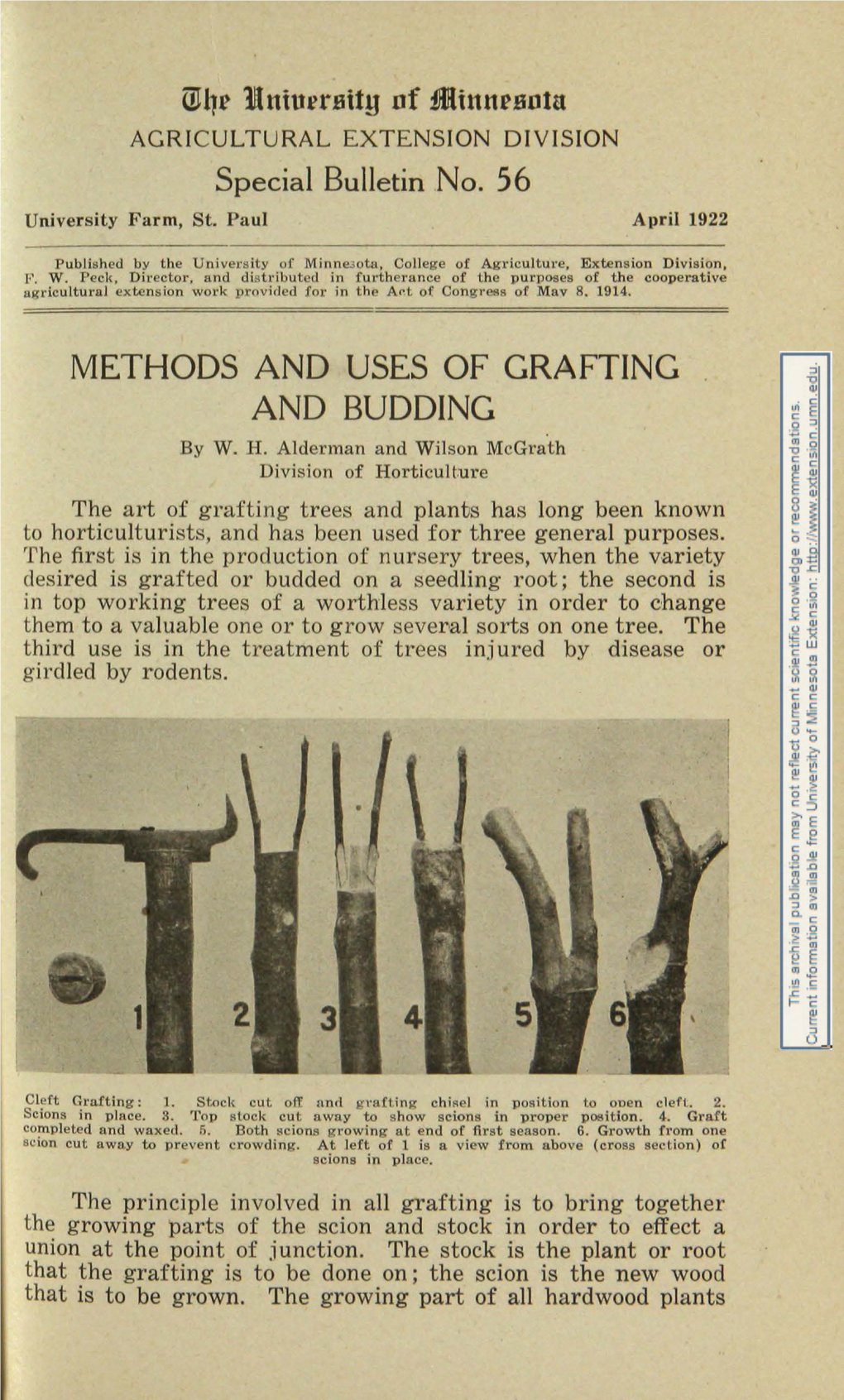 METHODS and USES of GRAFTING and BUDDING by W