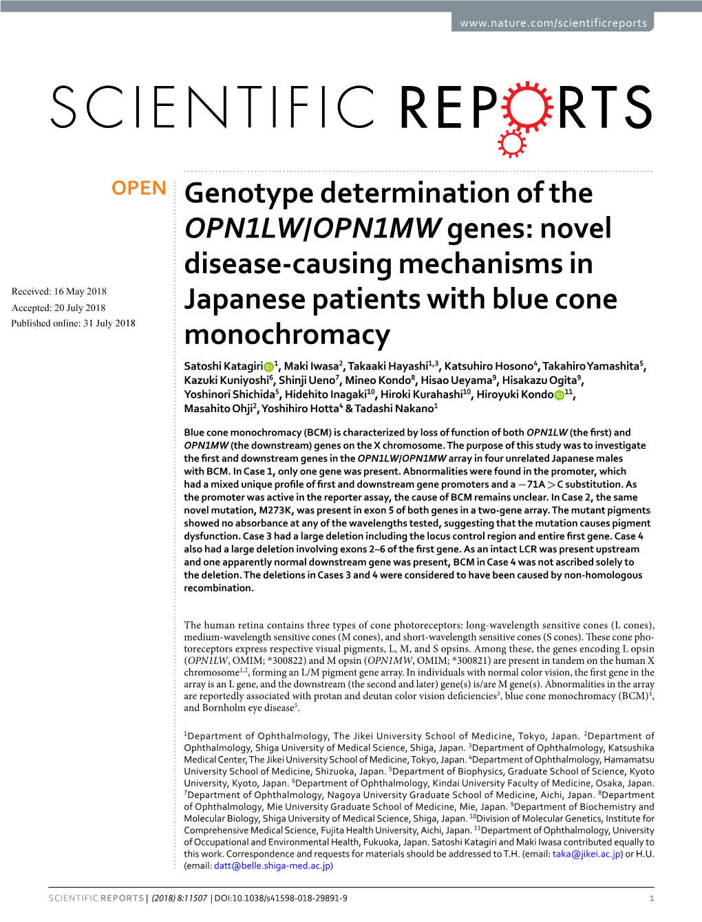 Genotype Determination of the OPN1LW/OPN1MW Genes: Novel