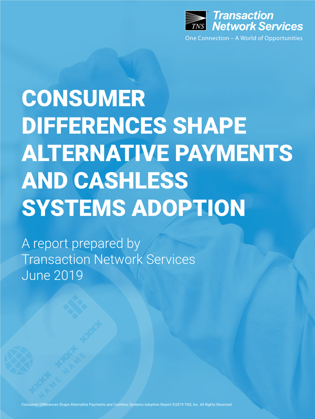 Consumer Differences Shape Alternative Payments and Cashless Systems Adoption