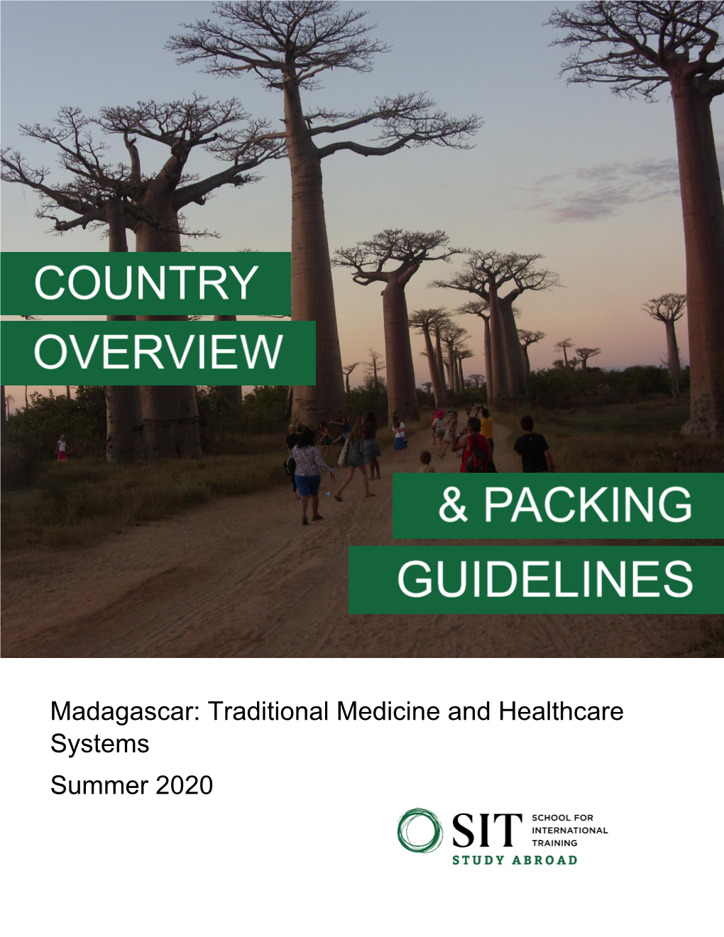 Madagascar: Traditional Medicine and Healthcare Systems Summer 2020