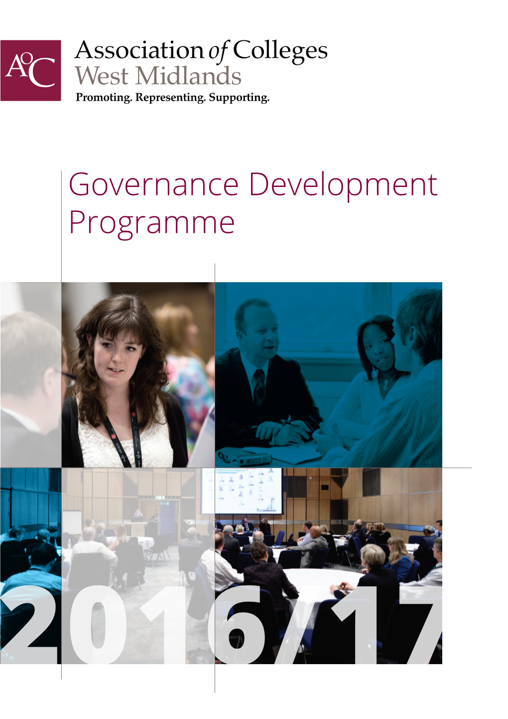 Governance Development Programme