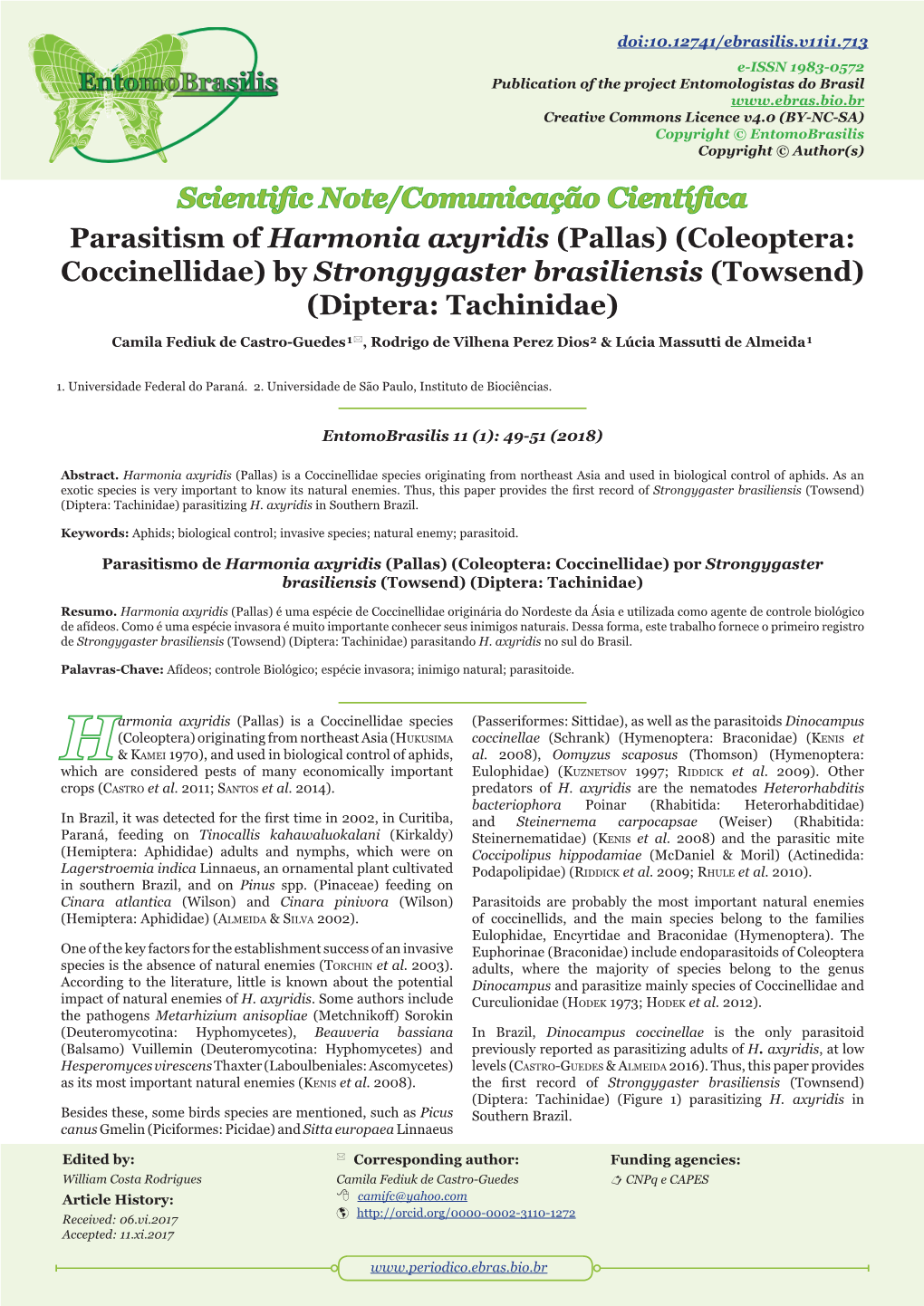 Parasitism of Harmonia Axyridis (Pallas) (Coleoptera: Coccinellidae) by Strongygaster Brasiliensis (Towsend) (Diptera: Tachinidae)