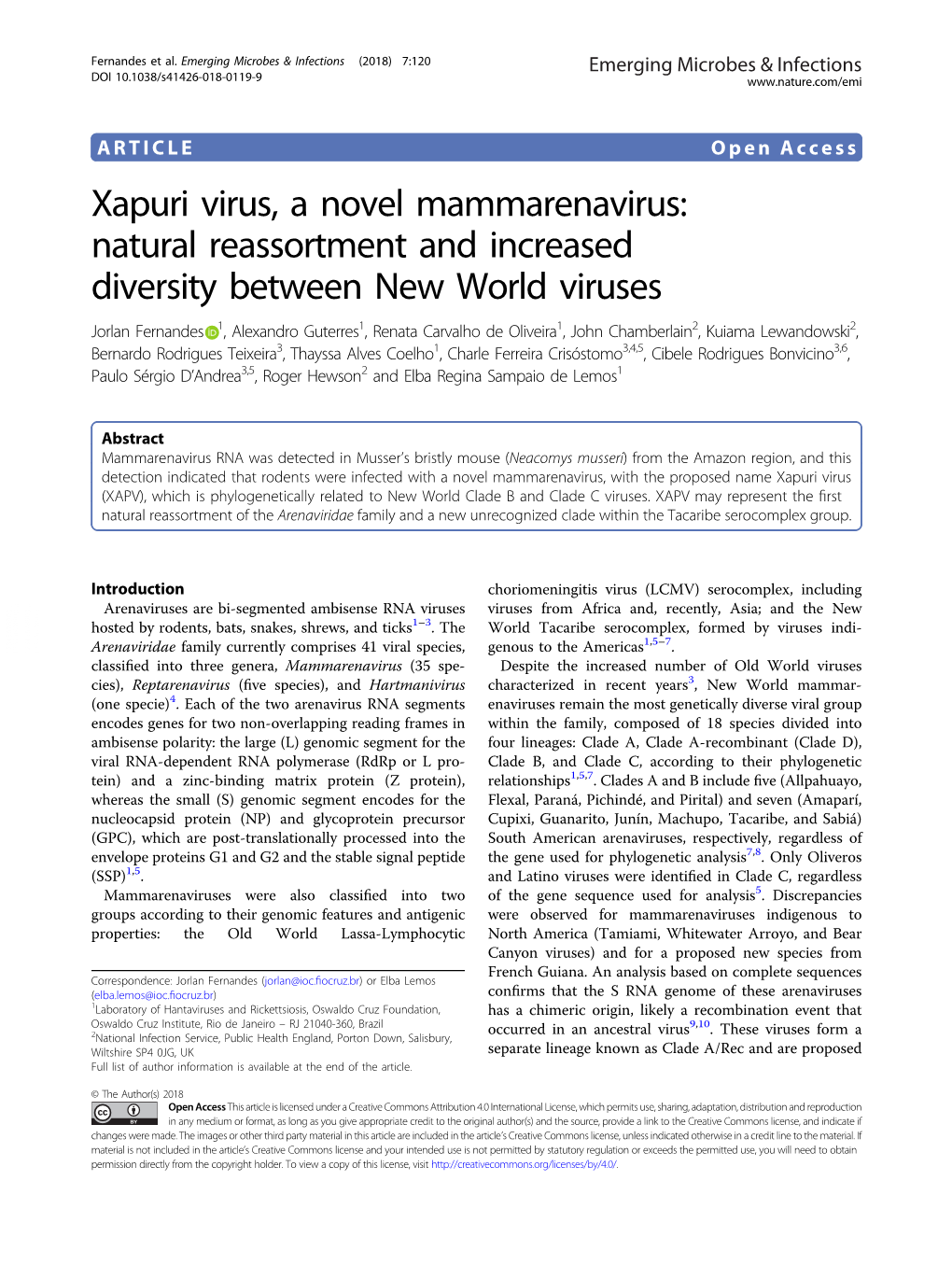 Xapuri Virus, a Novel Mammarenavirus: Natural Reassortment and Increased Diversity Between New World Viruses