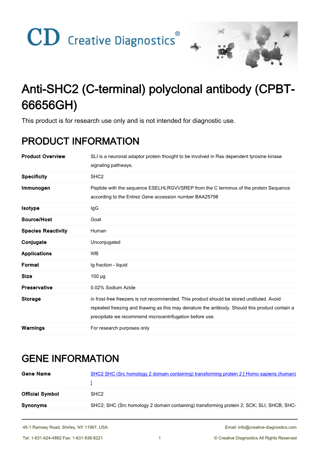 Anti-SHC2 (C-Terminal) Polyclonal Antibody (CPBT- 66656GH) This Product Is for Research Use Only and Is Not Intended for Diagnostic Use