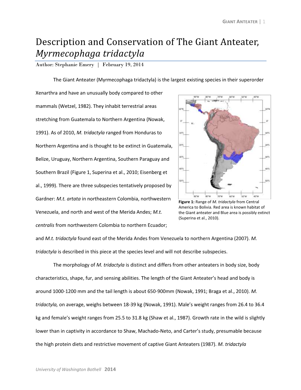 Description and Conservation of the Giant Anteater, Myrmecophaga Tridactyla Author: Stephanie Emery | February 19, 2014