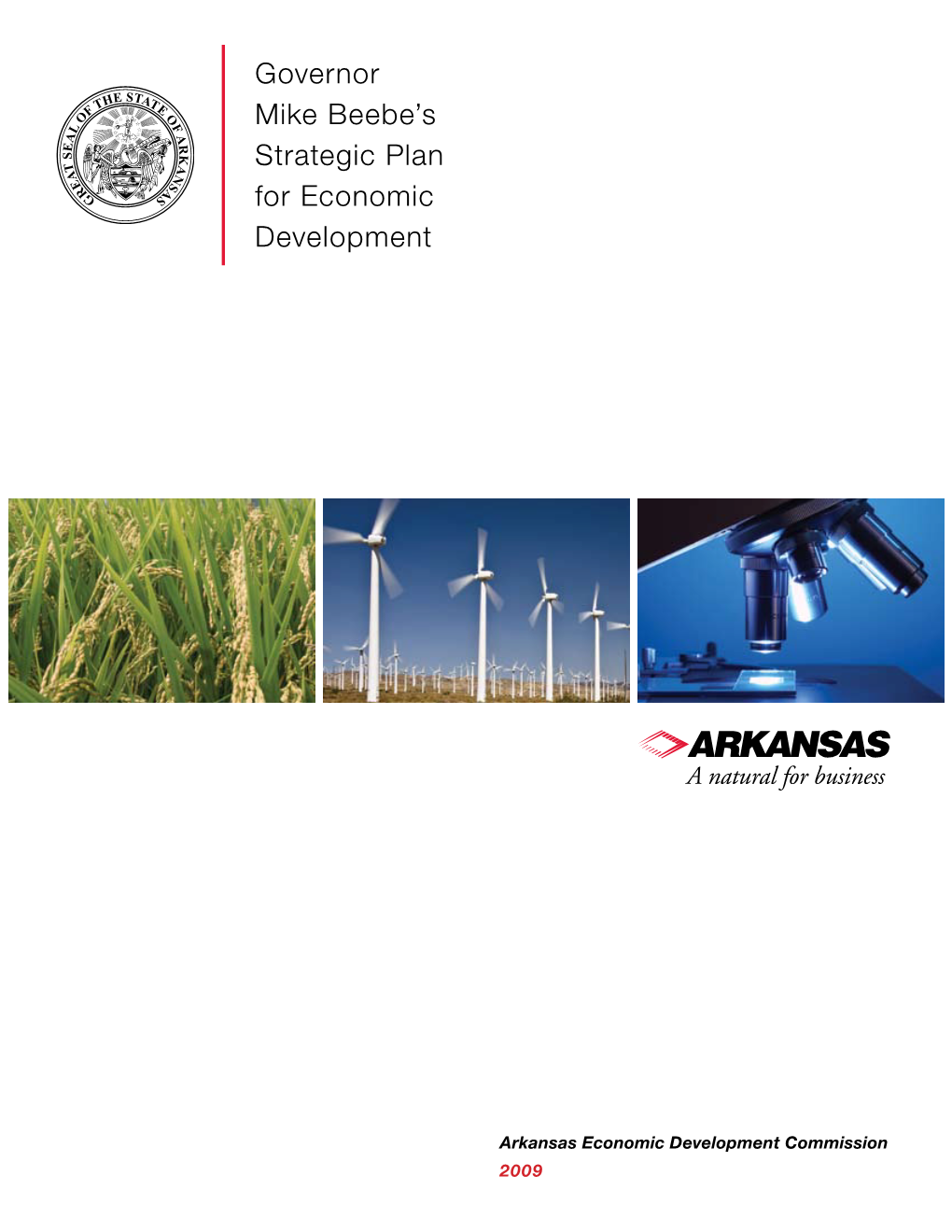 Governor Mike Beebe's Strategic Plan for Economic Development