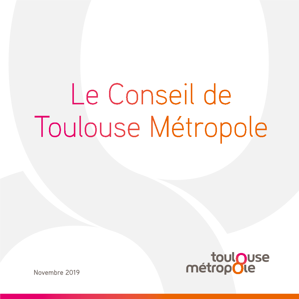 Le Conseil De Toulouse Métropole