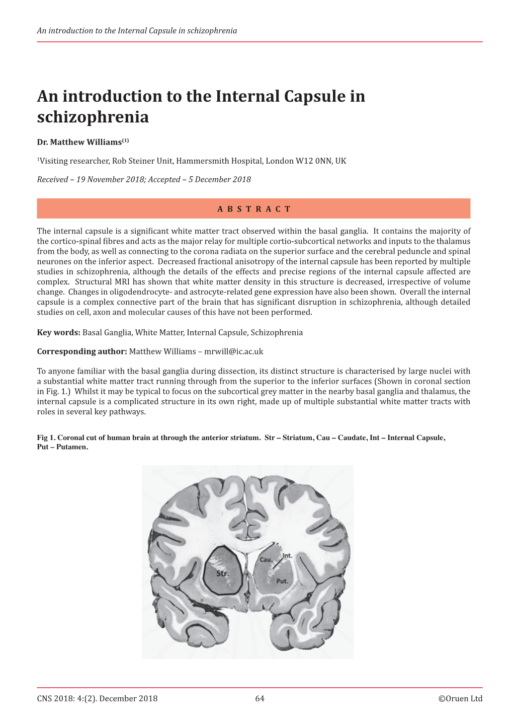 An Introduction to the Internal Capsule in Schizophrenia