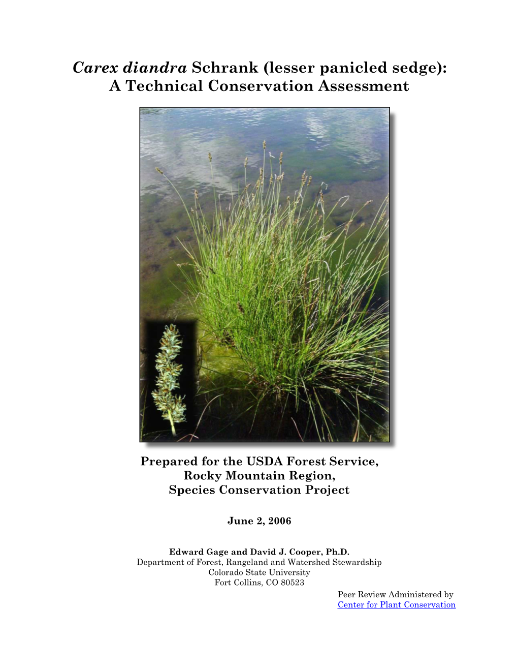 Carex Diandra Schrank (Lesser Panicled Sedge): a Technical Conservation Assessment