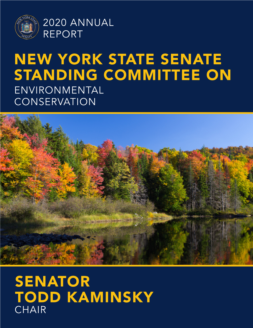 Senator Todd Kaminsky New York State Senate Standing