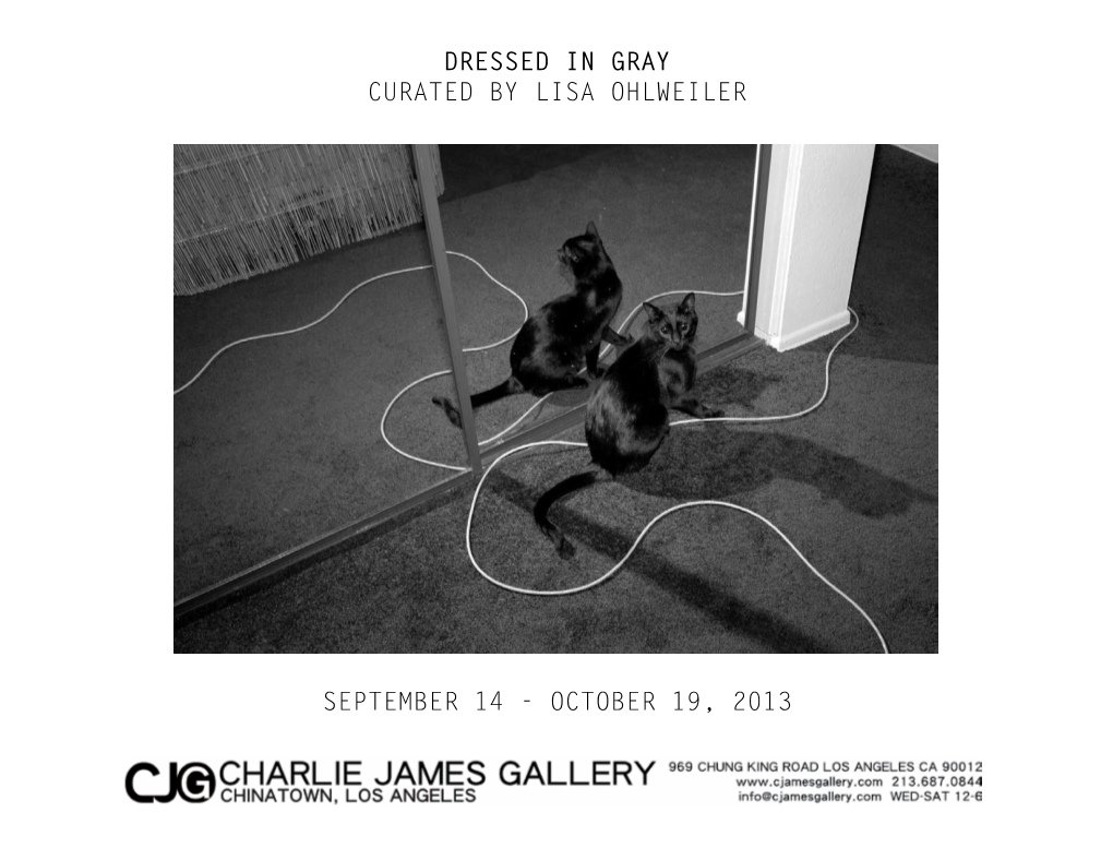 Dressed in Gray Curated by Lisa Ohlweiler September 14