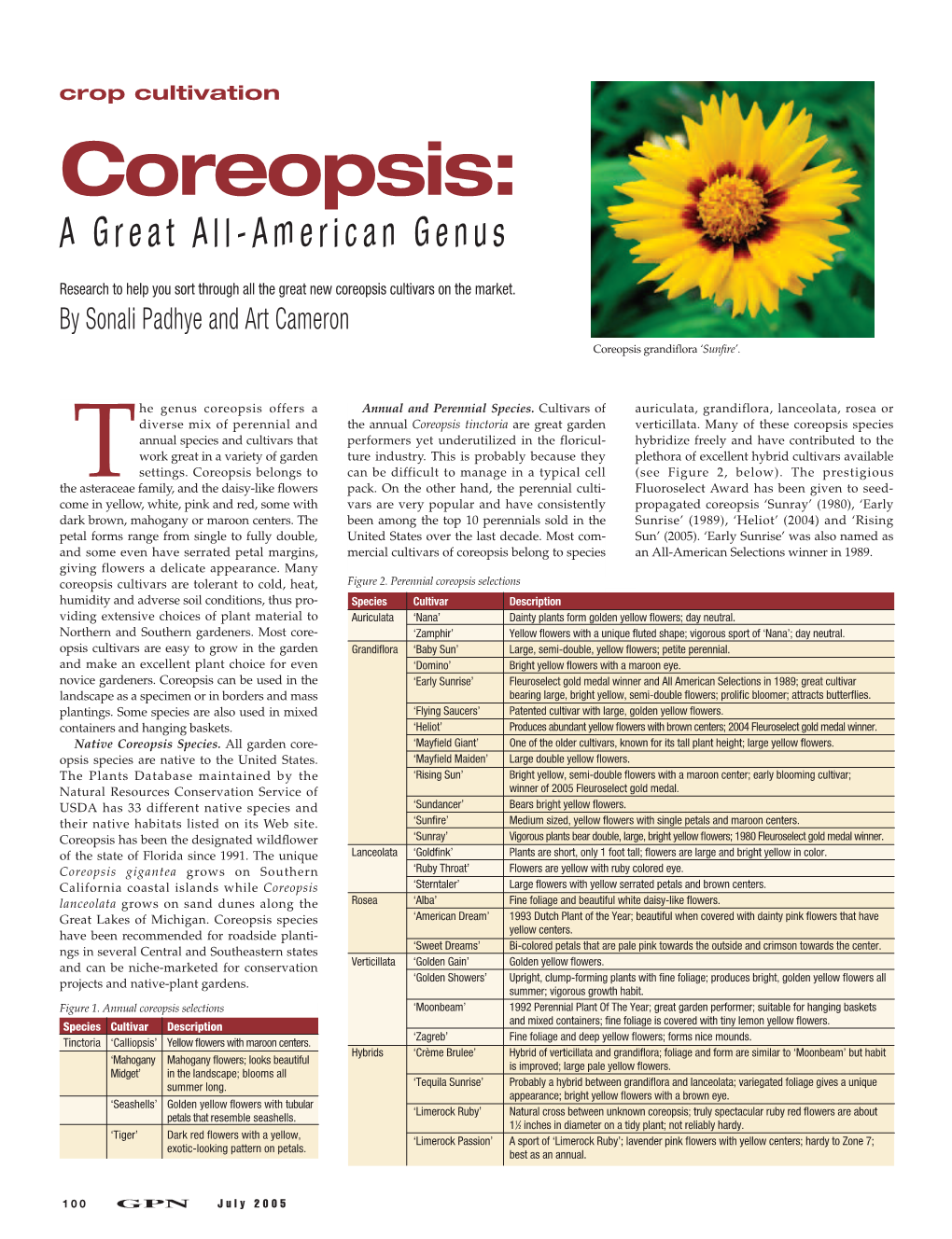 Coreopsis: a Great All-American Genus
