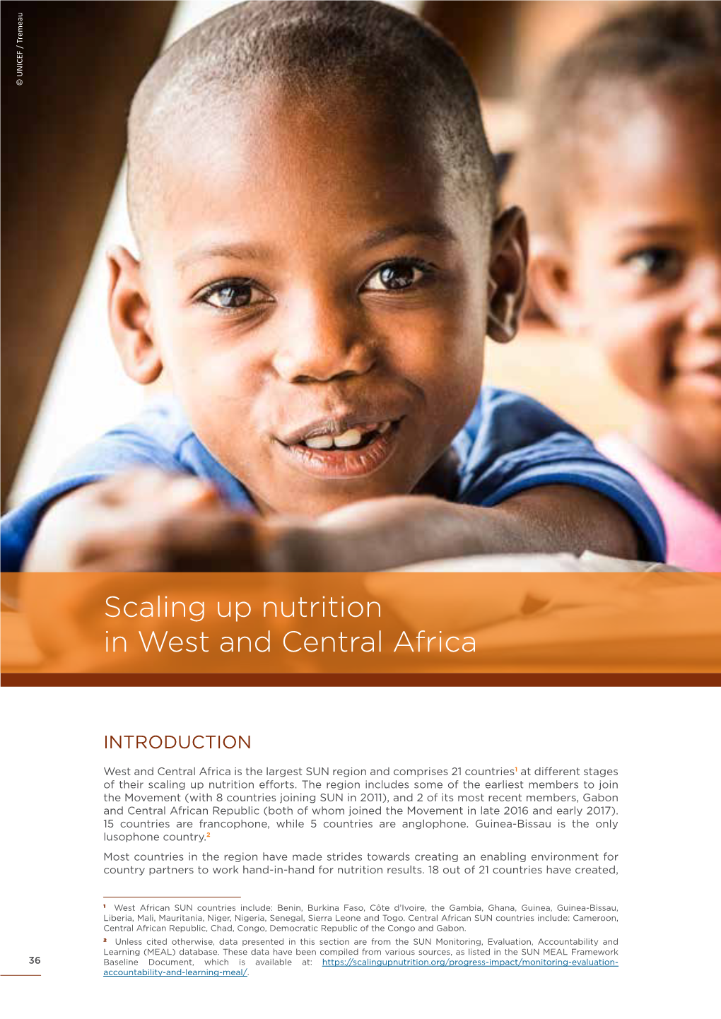 Scaling up Nutrition in West and Central Africa