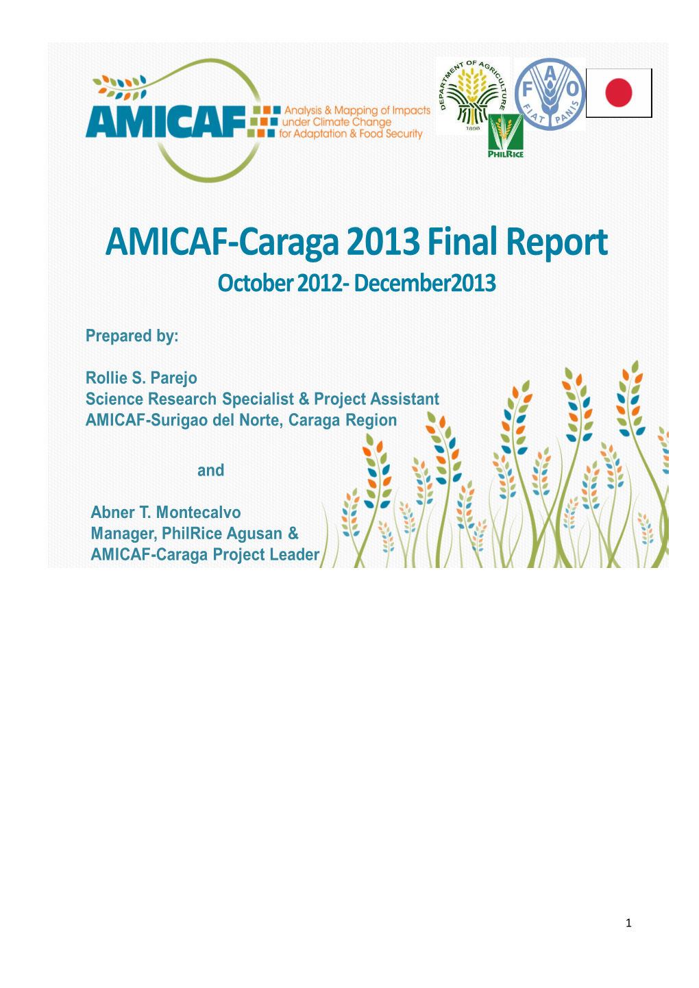 AMICAF-Caraga 2013 Final Report October 2012- December2013