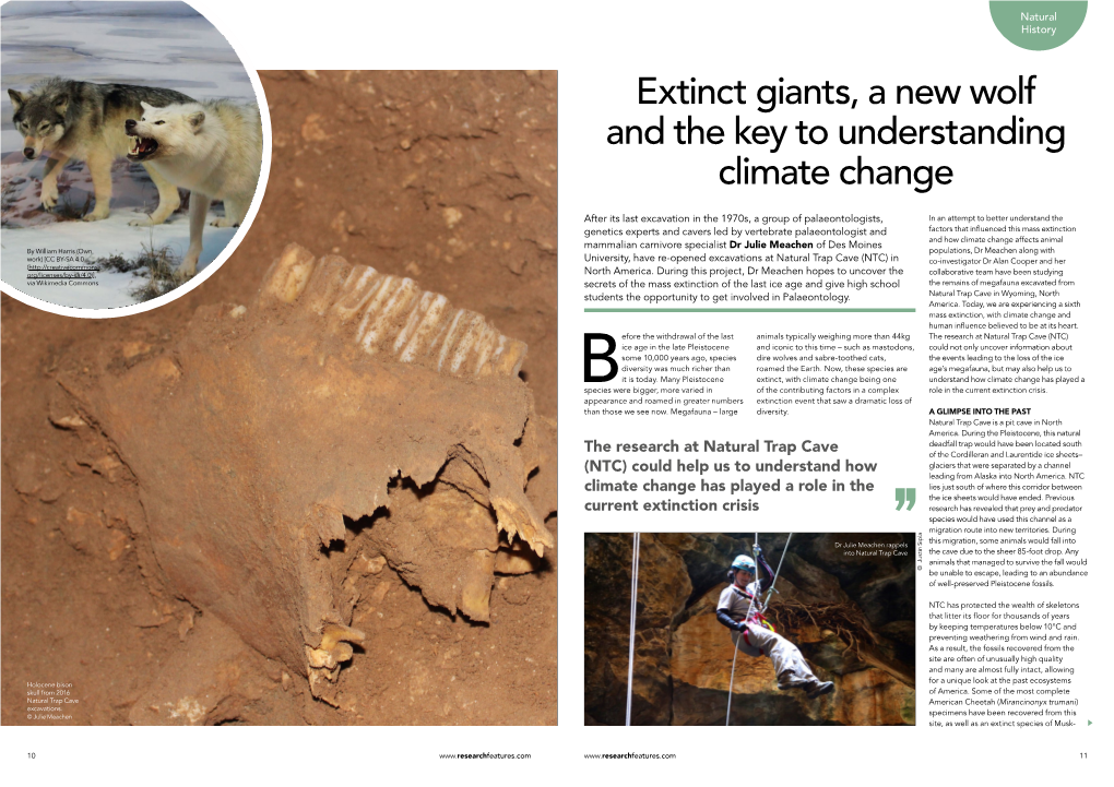 Extinct Giants, a New Wolf and the Key to Understanding Climate Change
