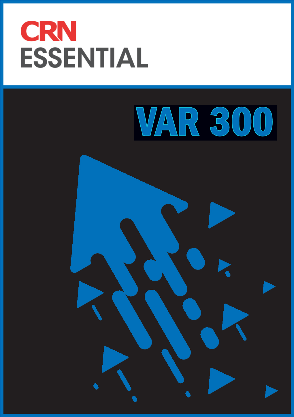 VAR 300 Report