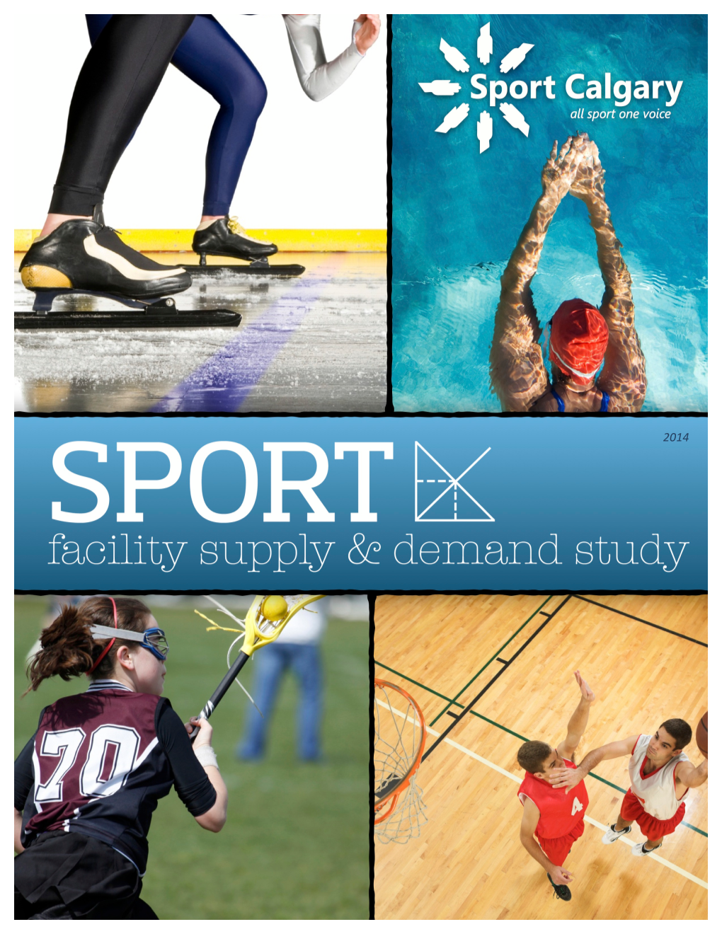 Sport Facility Supply & Demand Study Report