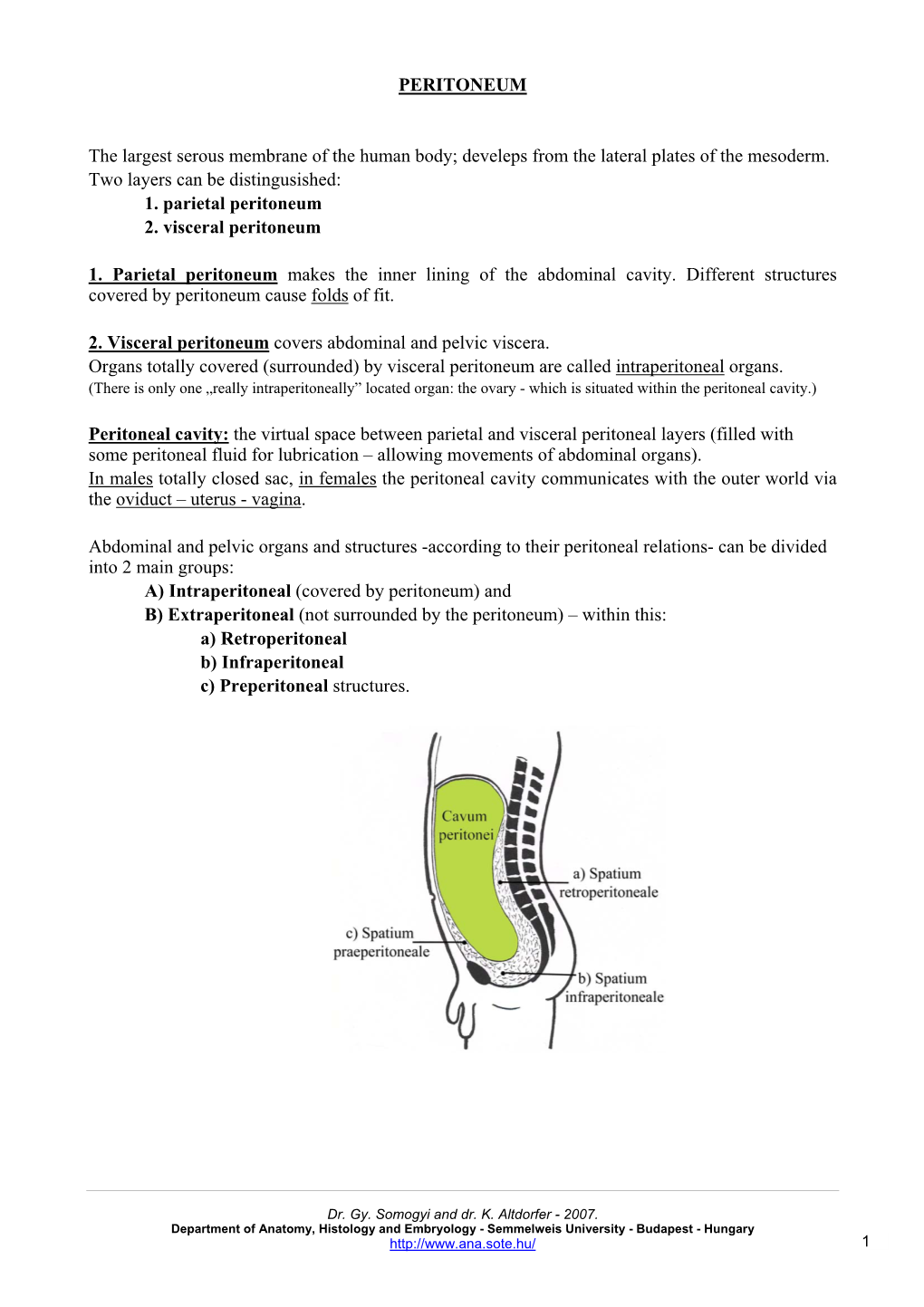 PERITONEUM the Largest Serous Membrane of the Human Body