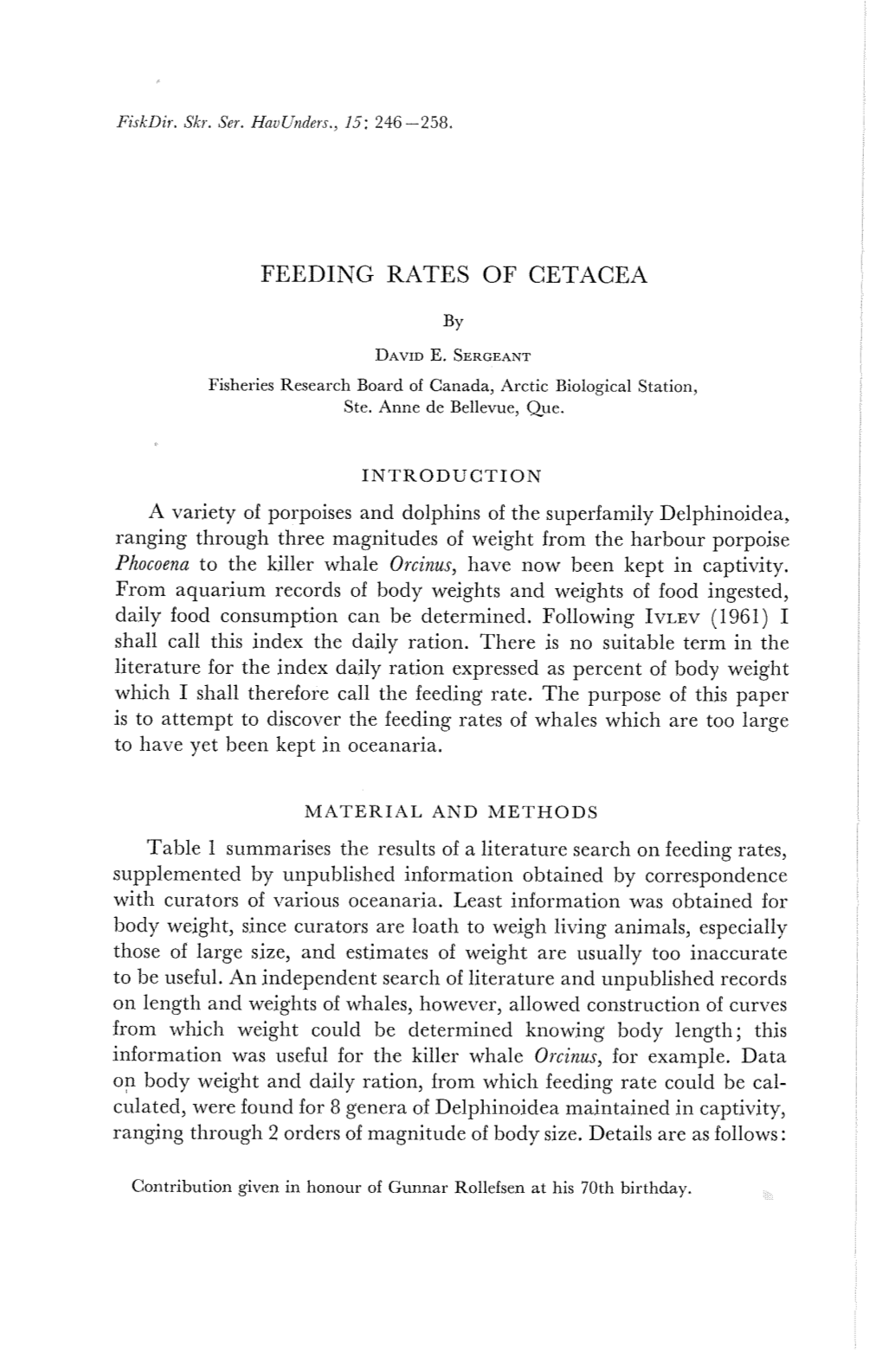 Feeding Rates of Cetacea