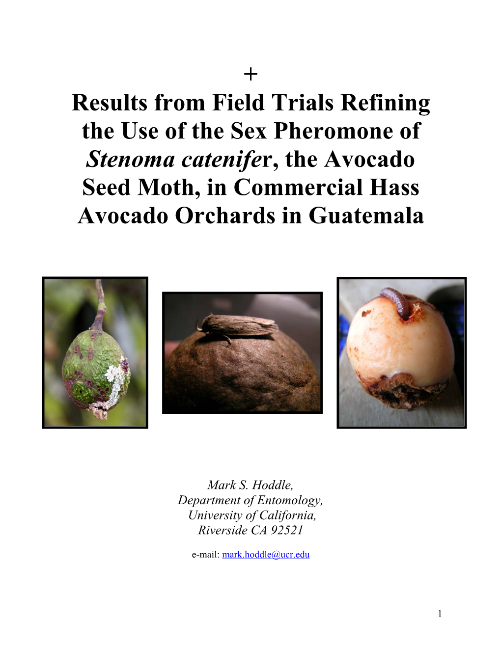 Results from Field Trials Refining the Use of the Sex Pheromone of Stenoma Catenifer, the Avocado Seed Moth, in Commercial Hass Avocado Orchards in Guatemala