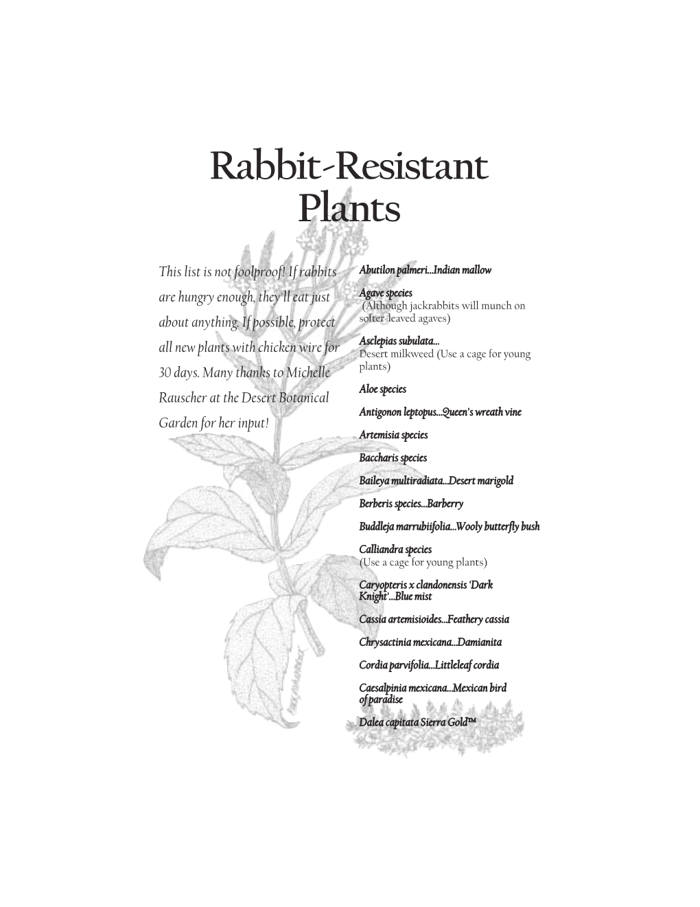 Rabbit Resistant Plants