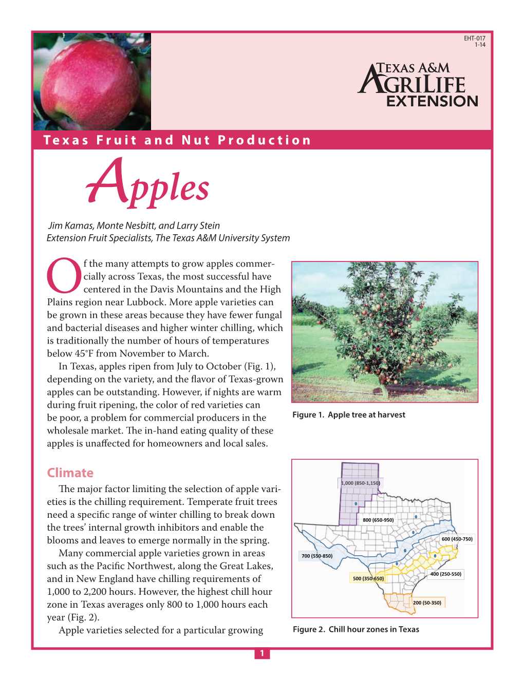 Apples Commer- Cially Across Texas, the Most Successful Have Centered in the Davis Mountains and the High Oplains Region Near Lubbock