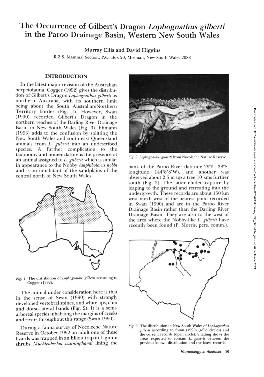 The Occurrence of Gilbert's Dragon Lophognathus Gilberti in the Paroo Drainage Basin, Western New South Wales