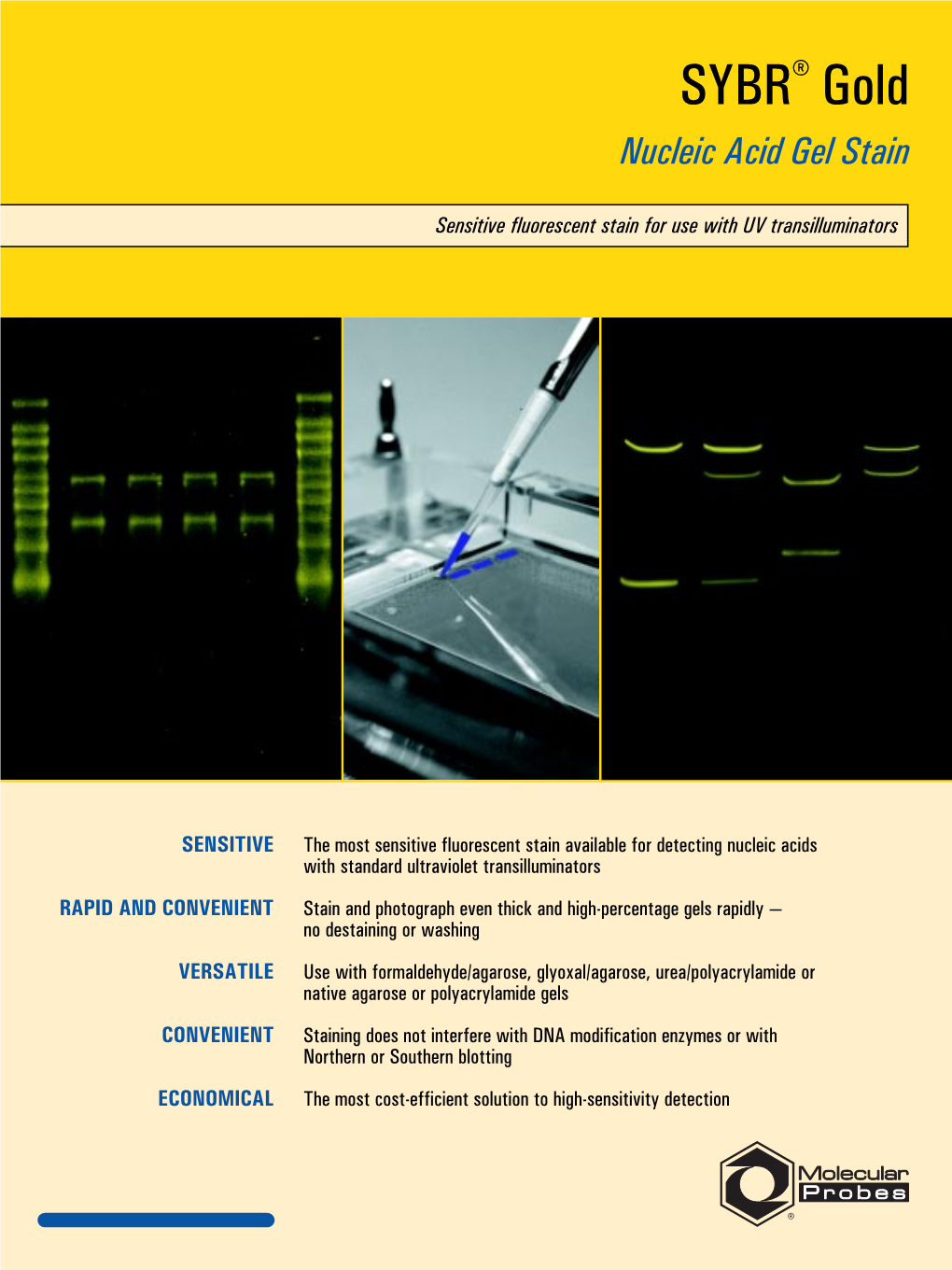 SYBR Gold Nucleic Acid Gel Stain