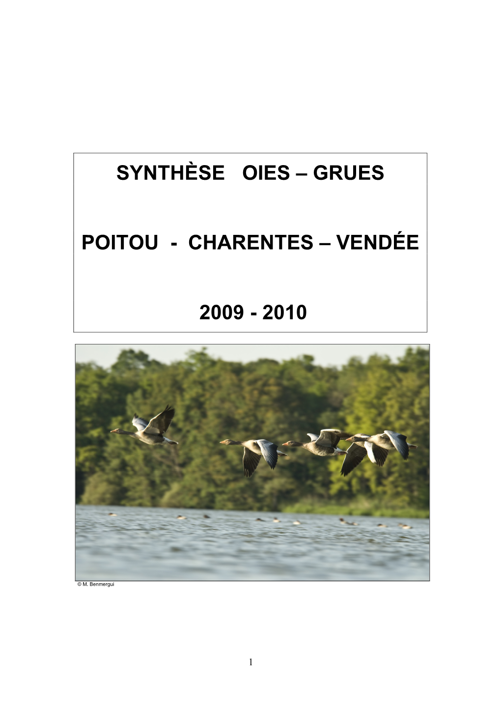 Oies-Grues C-O 2009-2010