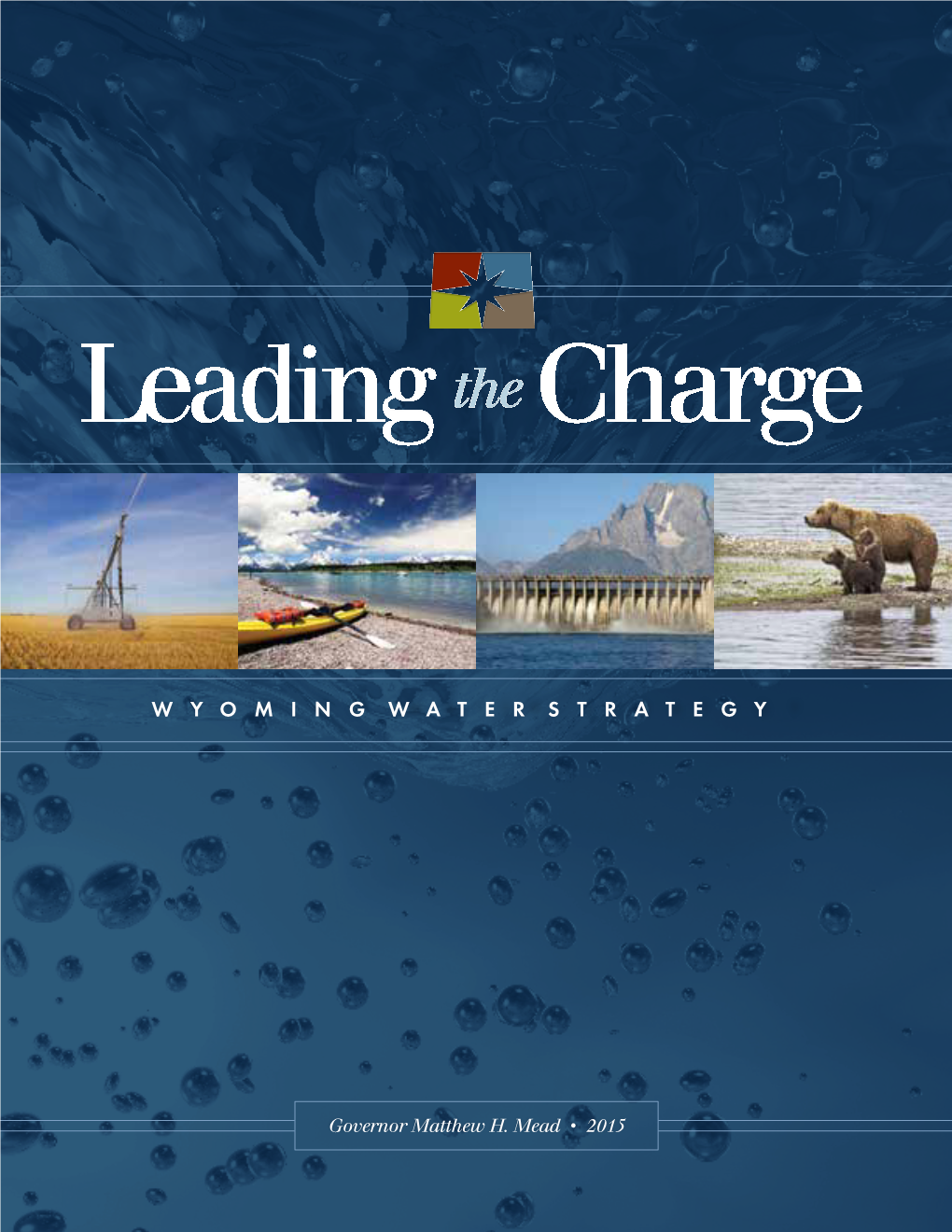 2015 Governor's Water Strategy