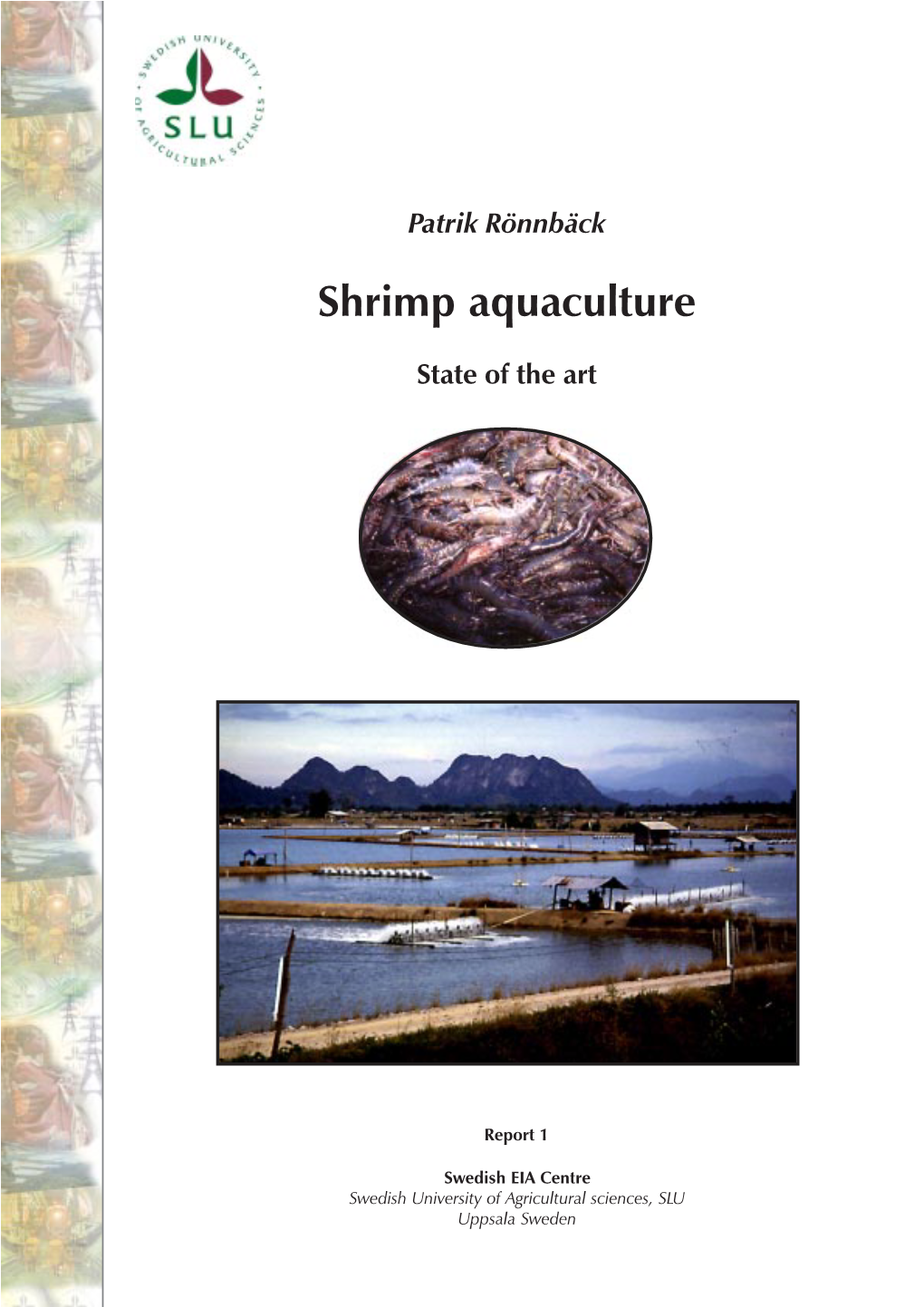 Shrimp Aquaculture: State of The