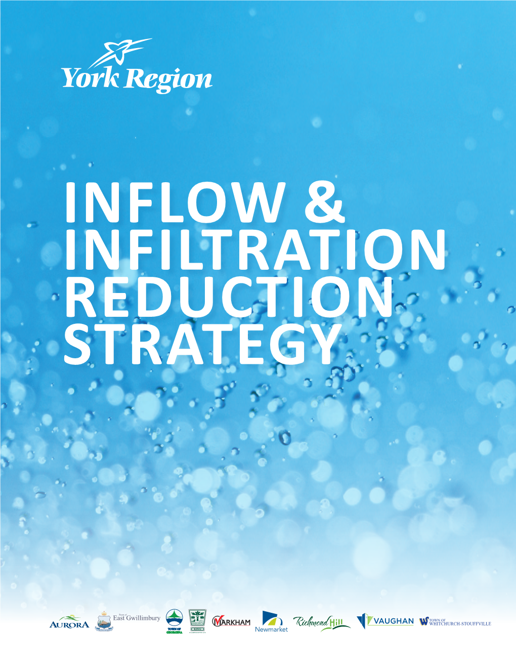 Inflow and Infiltration Reduction Strategy Table of Contents