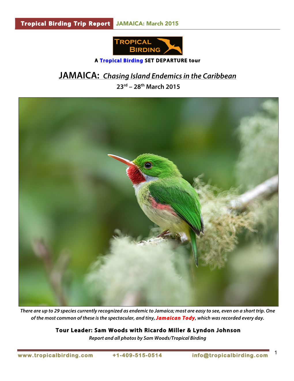 JAMAICA: Chasing Island Endemics in the Caribbean 23Rd – 28Th March 2015