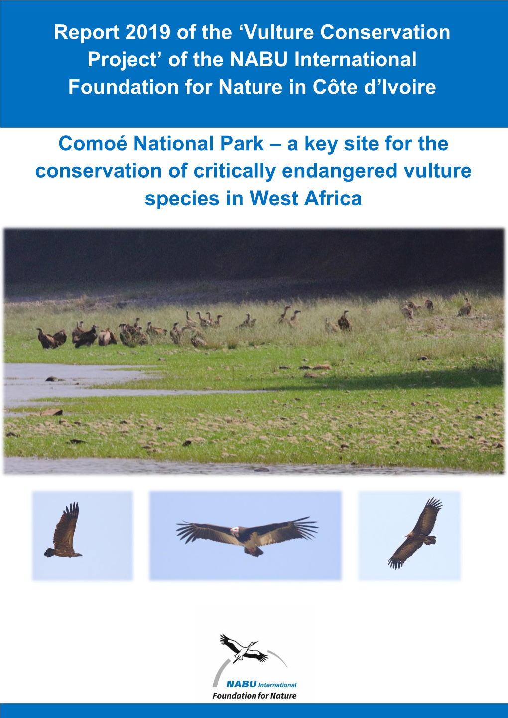 Report 2019 of the 'Vulture Conservation Project' of the NABU