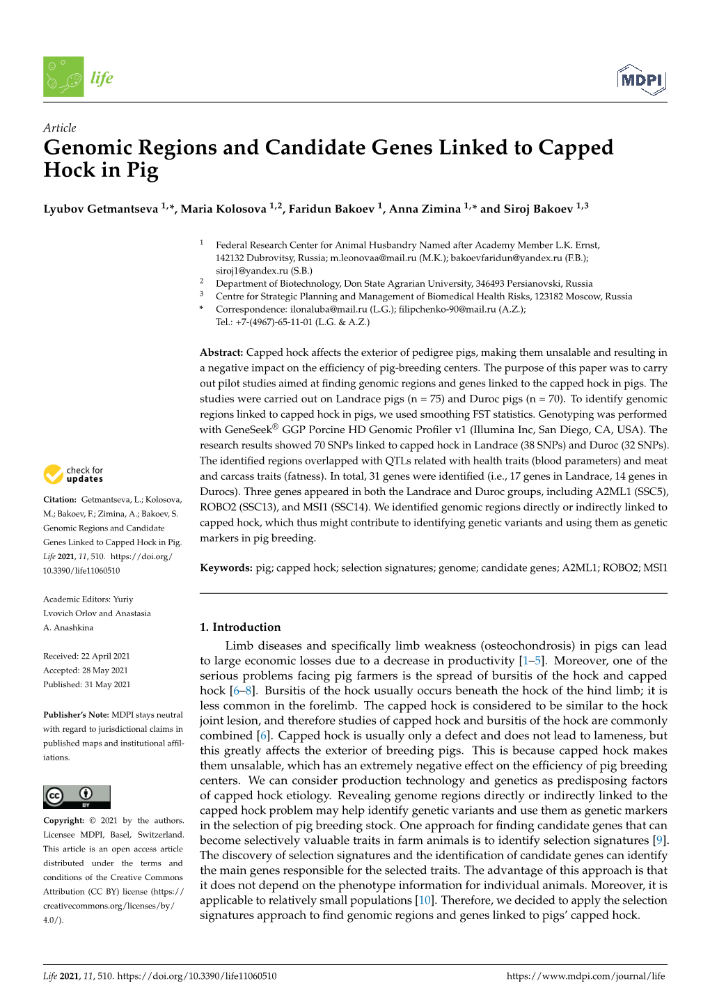 Genomic Regions and Candidate Genes Linked to Capped Hock in Pig